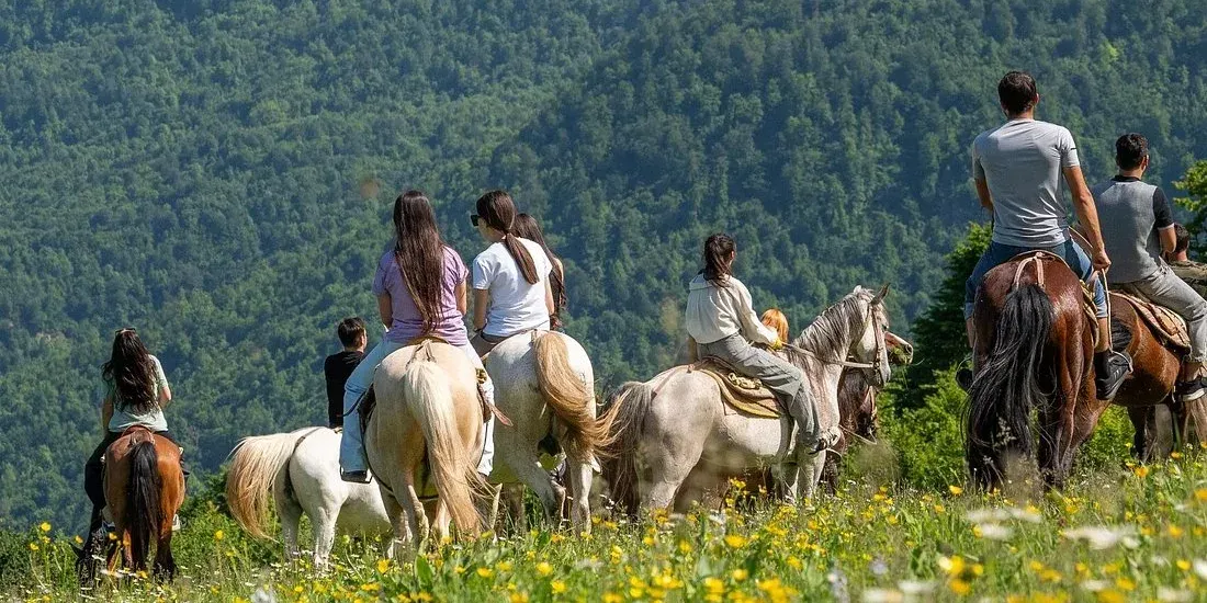 A line of riders on horseback crossing a wildflower meadow, forested mountains behind them
