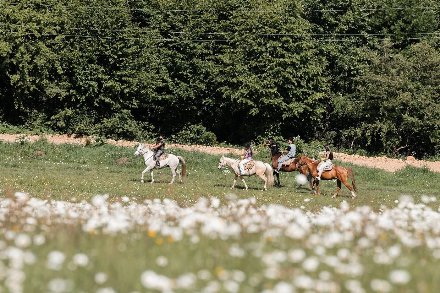 Riders in a flowering meadow